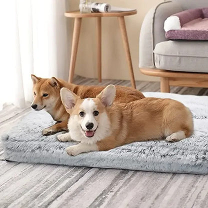 PANIER À CHIEN  -PLUSHYDOG™