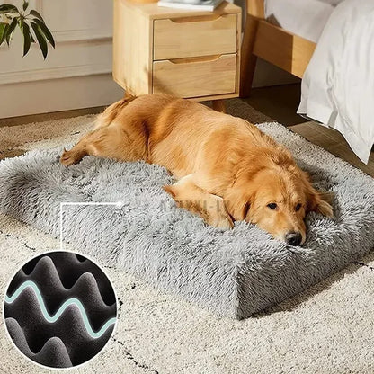 COUSSIN POUR CHIEN -BRIGHTDOG™