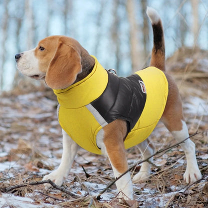 MANTEAU CHIEN  - WARMYDOG™