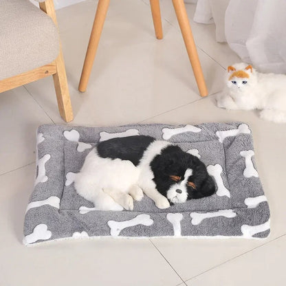TAPIS POUR CHIEN-FERVORYDOG™