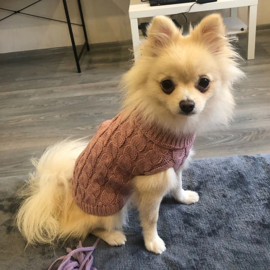 MANTEAU CHIEN LAINE-WOOLYDOG™