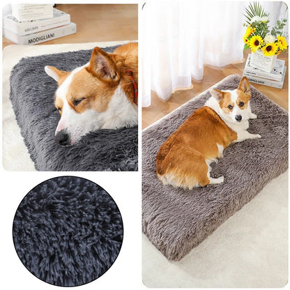 COUSSIN POUR CHIEN -BRIGHTDOG™