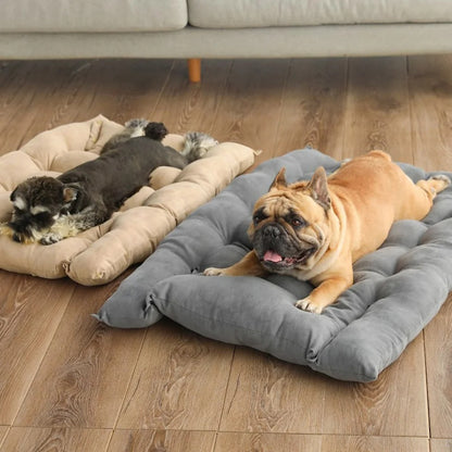 COUSSIN CHIEN - BREAKYDOG™
