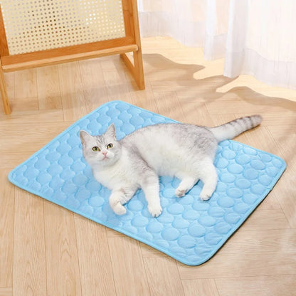 TAPIS CHIEN-MERVEILLEUX