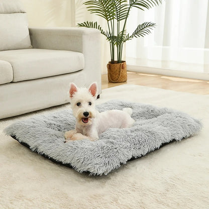 COUSSIN POUR CHIEN INDESTRUCTIBLE-COZYDOG™
