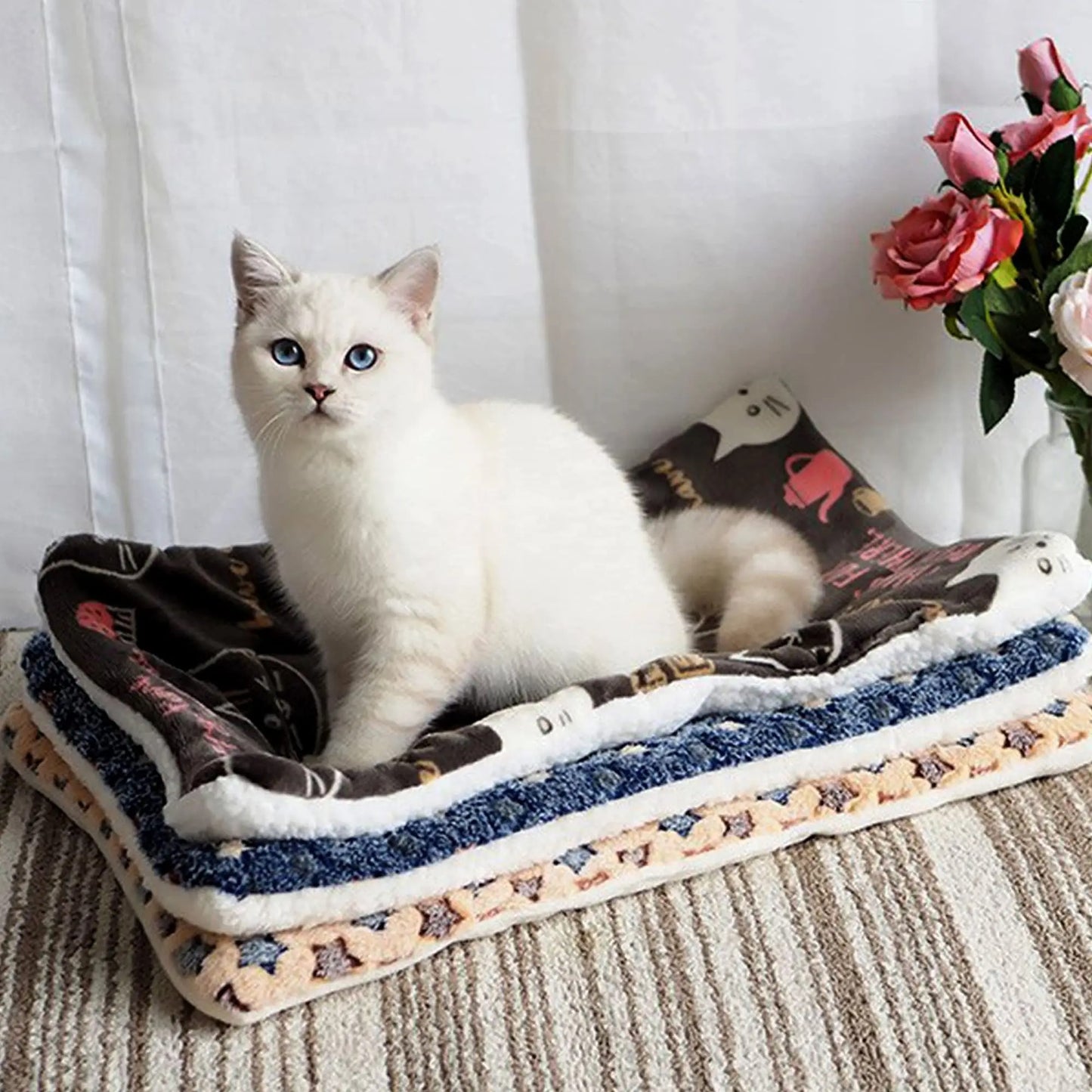 TAPIS POUR CHIEN-FERVORYDOG™