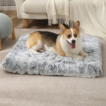 COUSSIN POUR CHIEN -BRIGHTDOG™