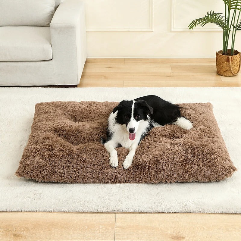 COUSSIN POUR CHIEN DEHOUSSABLE -REFUGE