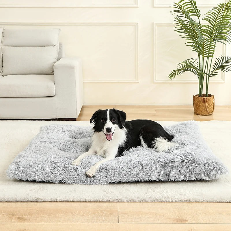 COUSSIN POUR CHIEN DEHOUSSABLE -REFUGE