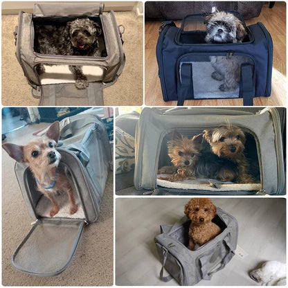 SAC DE TRANSPORT POUR CHIEN -CARDOG™