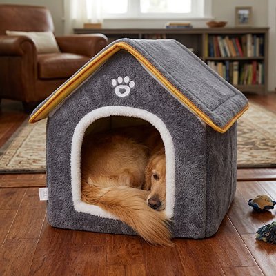 Maison pour chien 