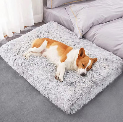 PANIER À CHIEN  -PLUSHYDOG™