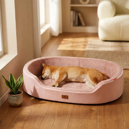 Panier Chien