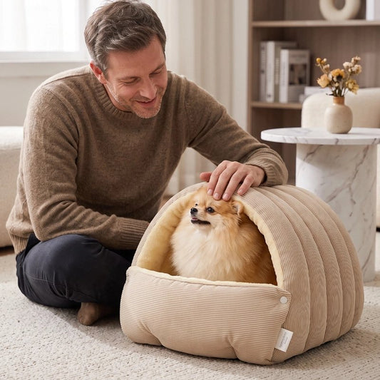 Panier pour petit chien