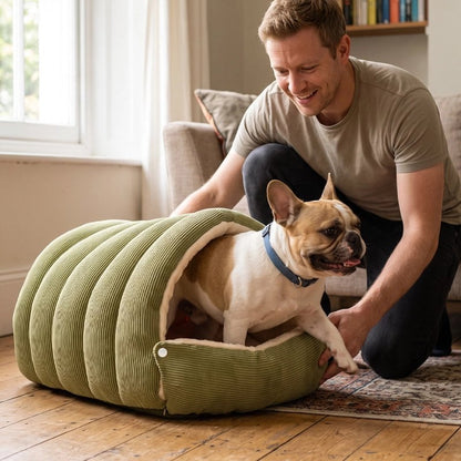 Panier pour petit chien
