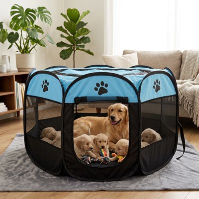 Parc pour Chien
