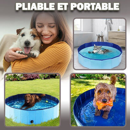 POOL DOG - Galaxie canine