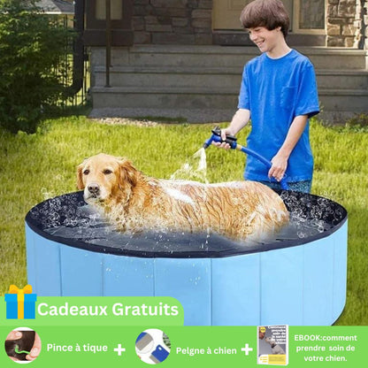 POOL DOG™ / piscine pour chien - Galaxie canine