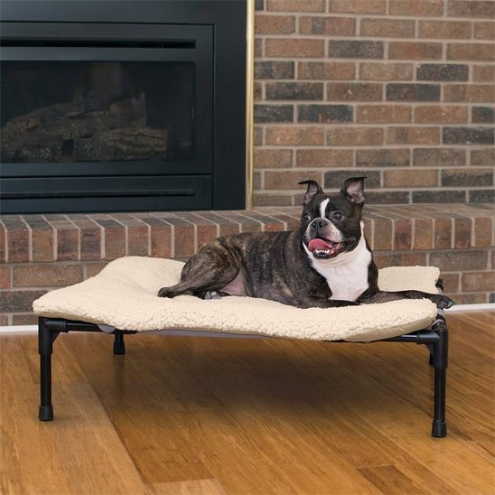 LIT POUR CHIEN | SURÉLEVÉ