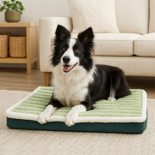 LIT POUR CHIEN / GOODNIGHTDOG™