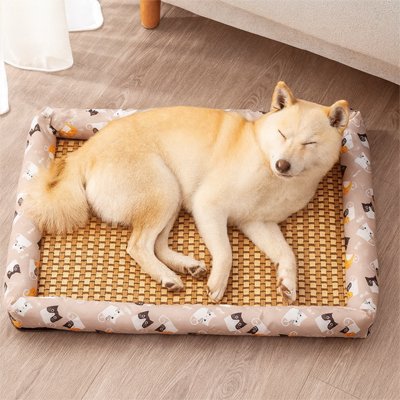 Tapis Chien rafraichissant