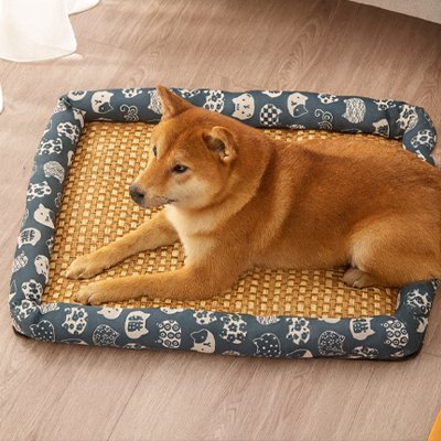 Tapis Chien rafraichissant
