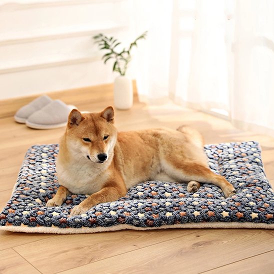 Tapis chien