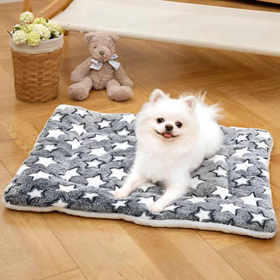 Tapis chien