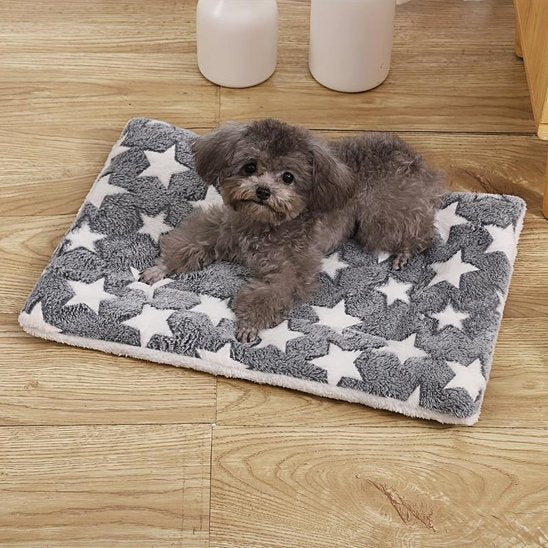 Tapis chien