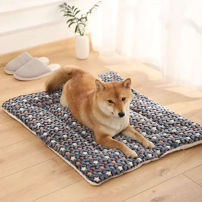 Tapis chien