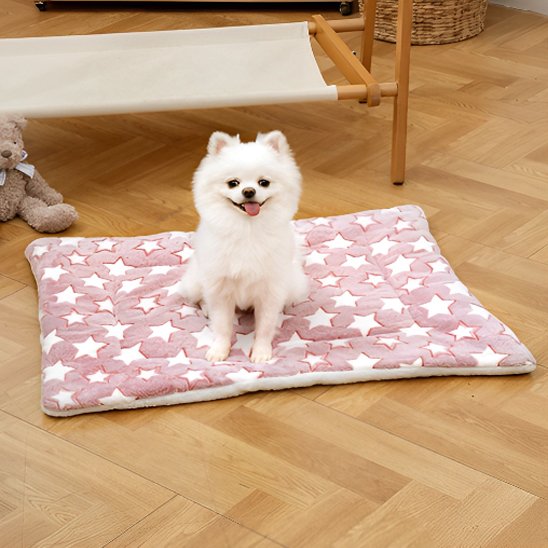 Tapis chien