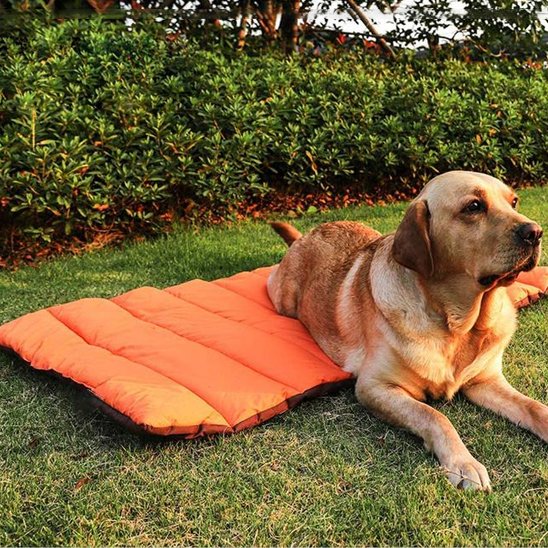 Tapis pour chien rafraichissant polyvalent