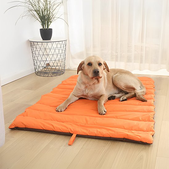 Tapis pour chien