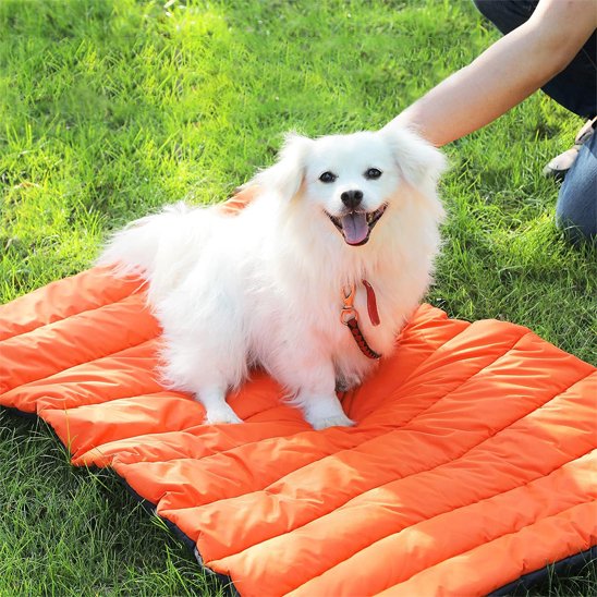 Tapis pour chien