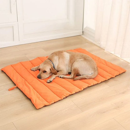 Tapis pour chien