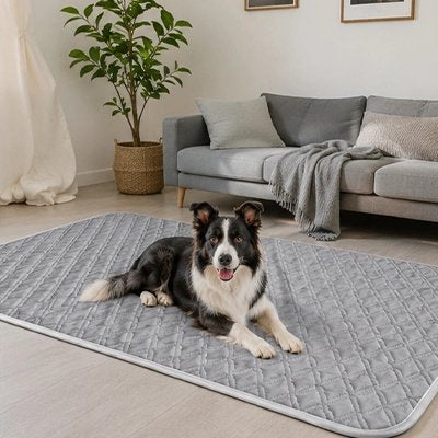 Tapis rafraichissant Chien